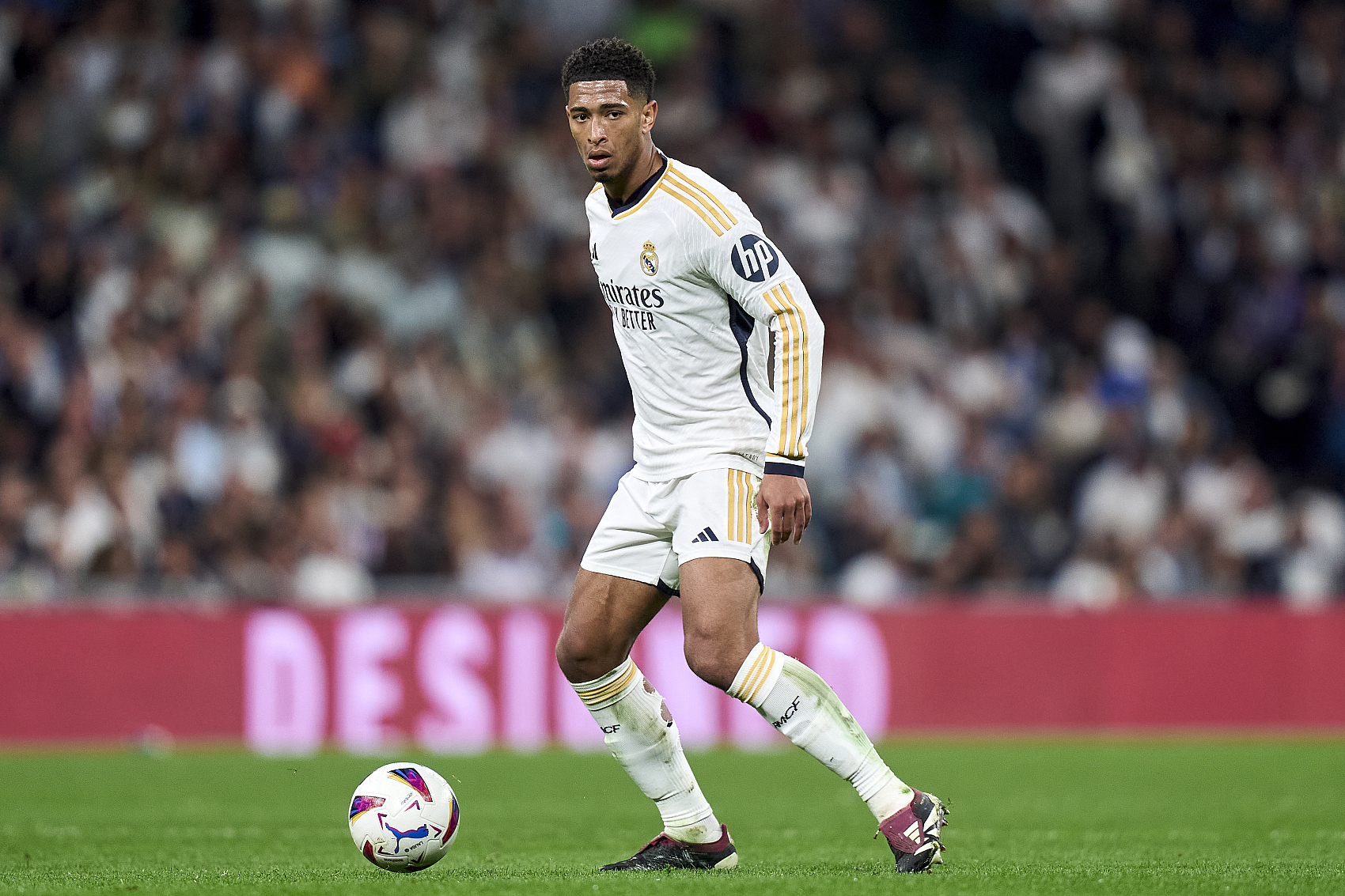 得了令人惊 得了令人惊