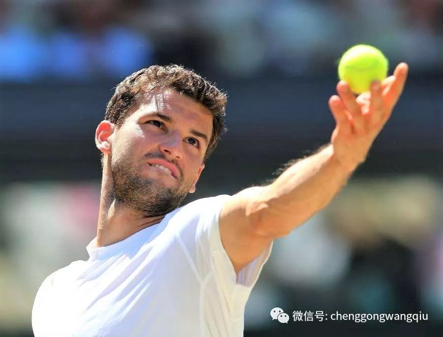 探讨杨畅如 探讨杨畅如